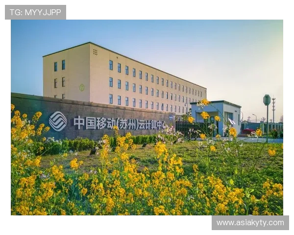 开云中国站：结合本土文化打造个性化奢华时尚购物新体验