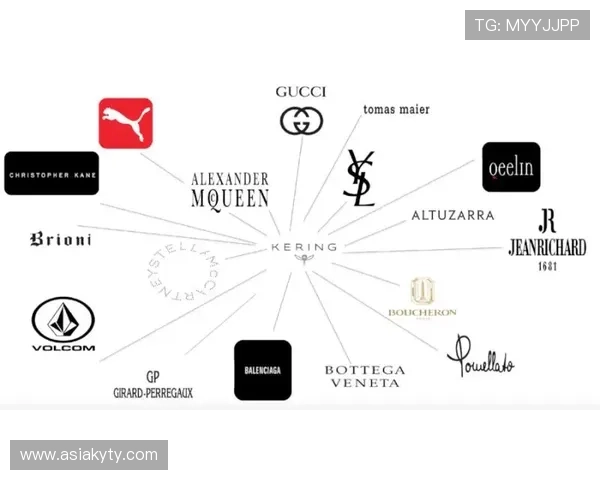 揭秘开云官网的成功经营策略，分析奢侈品牌背后的故事