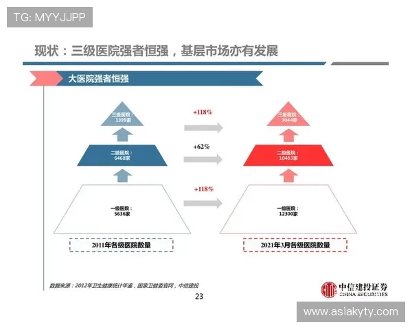 开云中国关网对国内游戏市场的冲击与未来发展趋势深度探讨