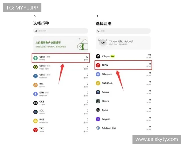 开云平台钱包与其他数字钱包的区别与优势分析选择最适合您的钱包方案